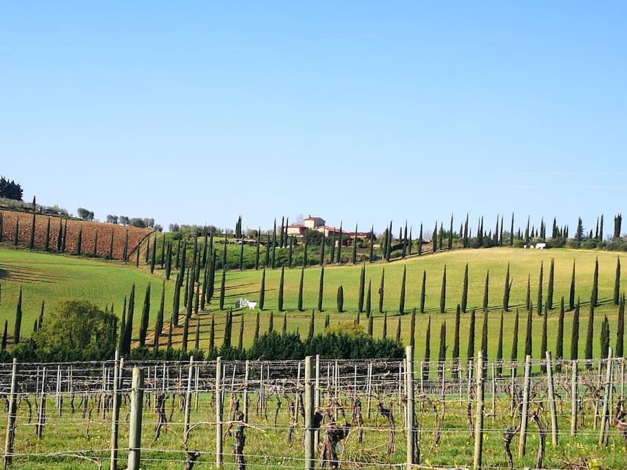 Castello Di Fulignano Ottone Superior Apartment San Gimignano Luaran gambar